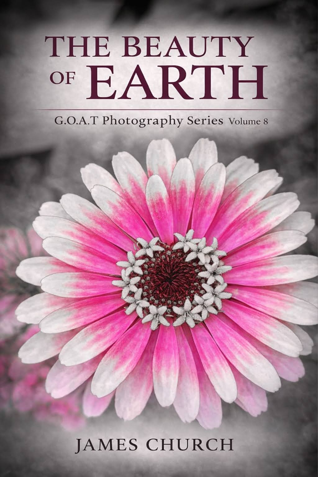 The Beauty of Earth cover